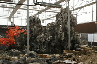 假樹工程設(shè)計(jì),江蘇假山假樹工程哪家名聲好